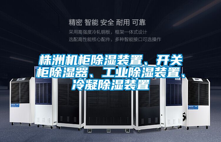 株洲機柜除濕裝置、開關柜除濕器、工業除濕裝置、冷凝除濕裝置
