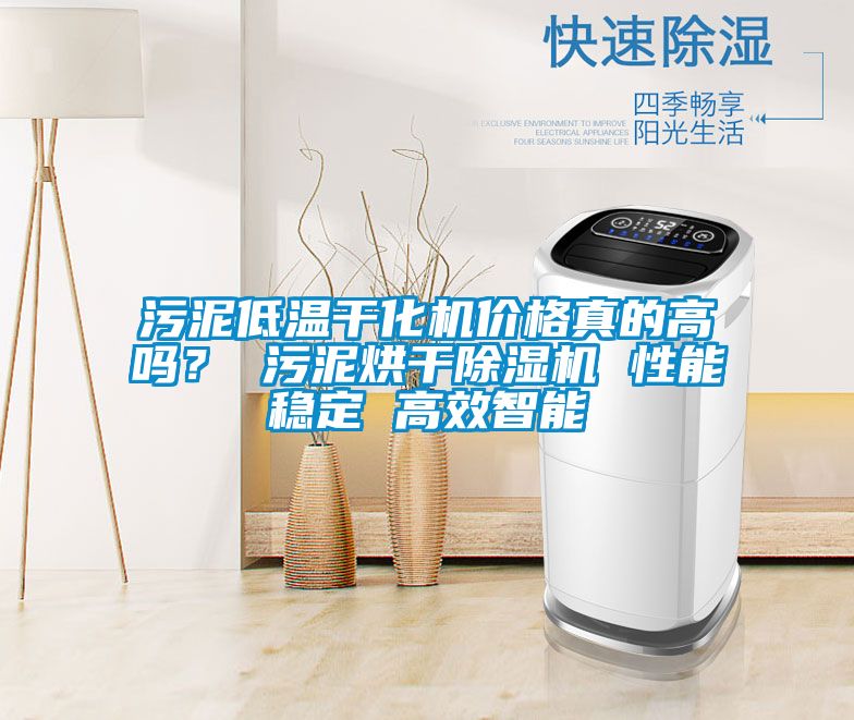污泥低溫干化機價格真的高嗎？ 污泥烘干除濕機 性能穩(wěn)定 高效智能