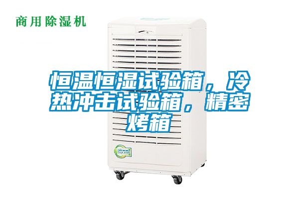 恒溫恒濕試驗(yàn)箱，冷熱沖擊試驗(yàn)箱，精密烤箱