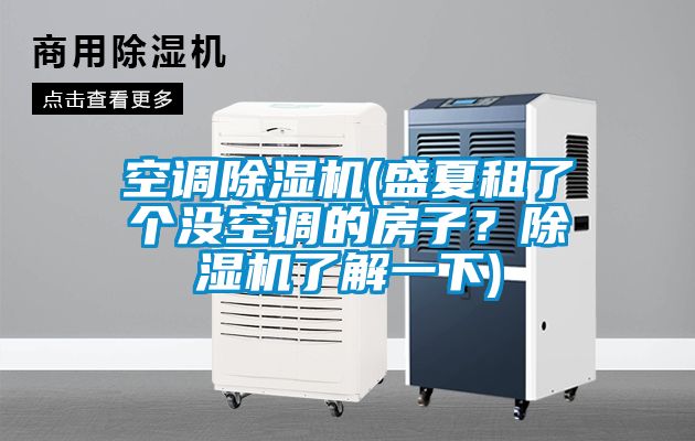 空調除濕機(盛夏租了個沒空調的房子？除濕機了解一下)