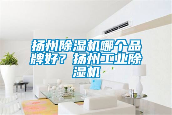揚州除濕機哪個品牌好？揚州工業除濕機