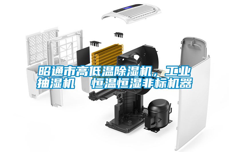 昭通市高低溫除濕機，工業(yè)抽濕機  恒溫恒濕非標機器