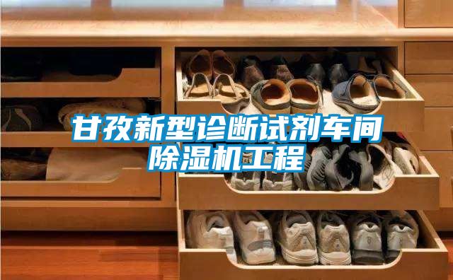 甘孜新型診斷試劑車(chē)間除濕機(jī)工程