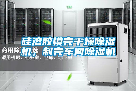 硅溶膠模殼干燥除濕機(jī)，制殼車(chē)間除濕機(jī)