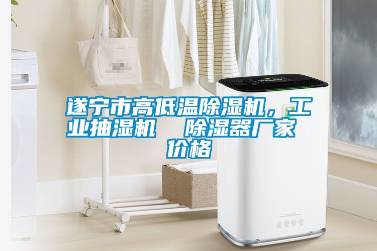 遂寧市高低溫除濕機，工業抽濕機  除濕器廠家 價格
