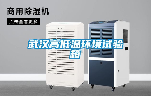 武漢高低溫環境試驗箱