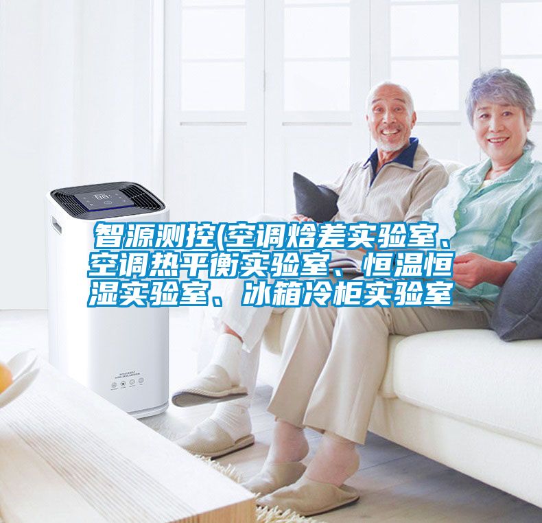 智源測控(空調焓差實驗室、空調熱平衡實驗室、恒溫恒濕實驗室、冰箱冷柜實驗室