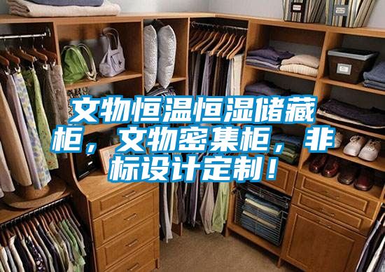 文物恒溫恒濕儲藏柜，文物密集柜，非標設計定制！