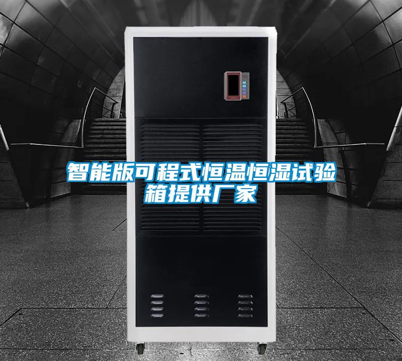 智能版可程式恒溫恒濕試驗(yàn)箱提供廠(chǎng)家