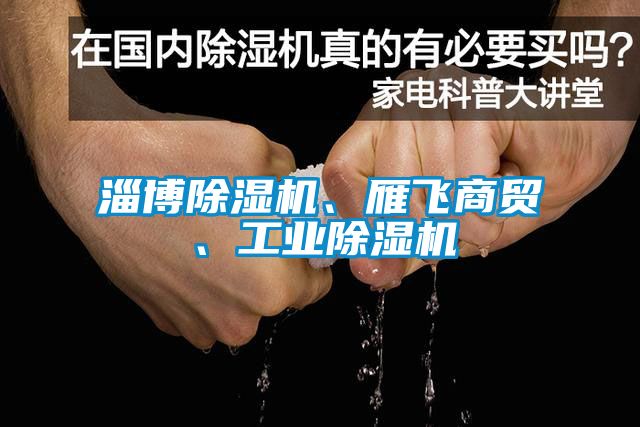 淄博除濕機、雁飛商貿(mào)、工業(yè)除濕機
