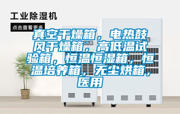 真空干燥箱，電熱鼓風干燥箱，高低溫試驗箱，恒溫恒濕箱，恒溫培養箱，無塵烘箱，醫用