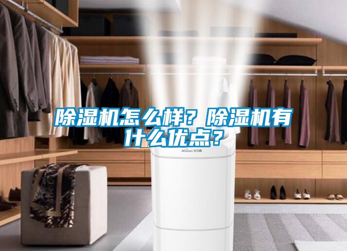 除濕機怎么樣？除濕機有什么優點？