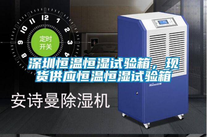 深圳恒溫恒濕試驗(yàn)箱，現(xiàn)貨供應(yīng)恒溫恒濕試驗(yàn)箱