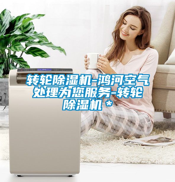 轉輪除濕機-鴻河空氣處理為您服務-轉輪除濕機＊