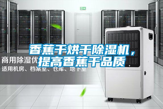 香蕉干烘干除濕機，提高香蕉干品質