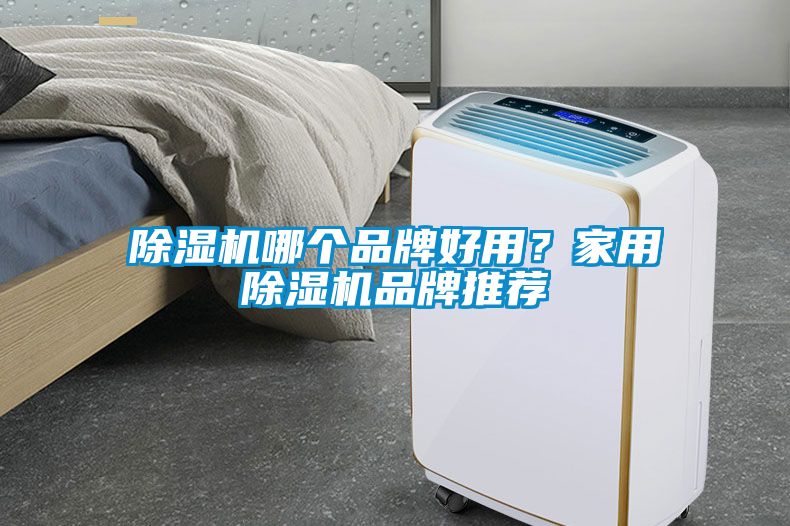 除濕機(jī)哪個(gè)品牌好用？家用除濕機(jī)品牌推薦