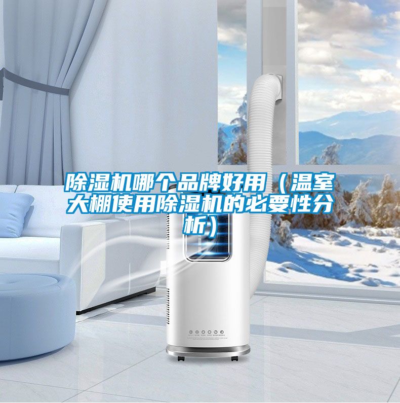 除濕機(jī)哪個(gè)品牌好用（溫室大棚使用除濕機(jī)的必要性分析）