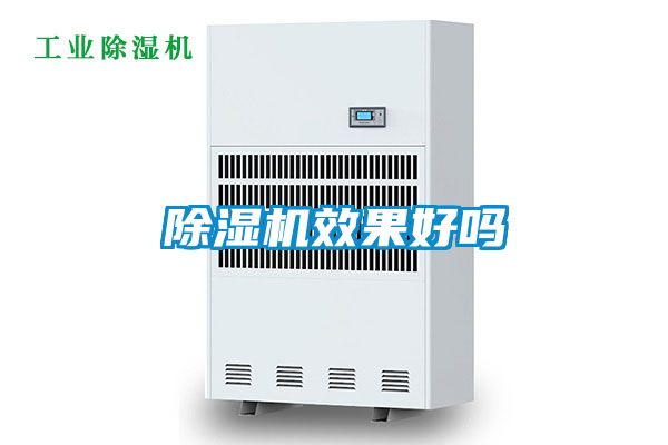 除濕機(jī)效果好嗎