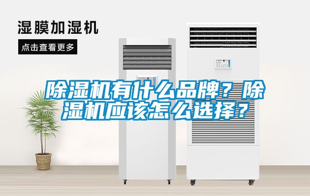 除濕機有什么品牌？除濕機應該怎么選擇？