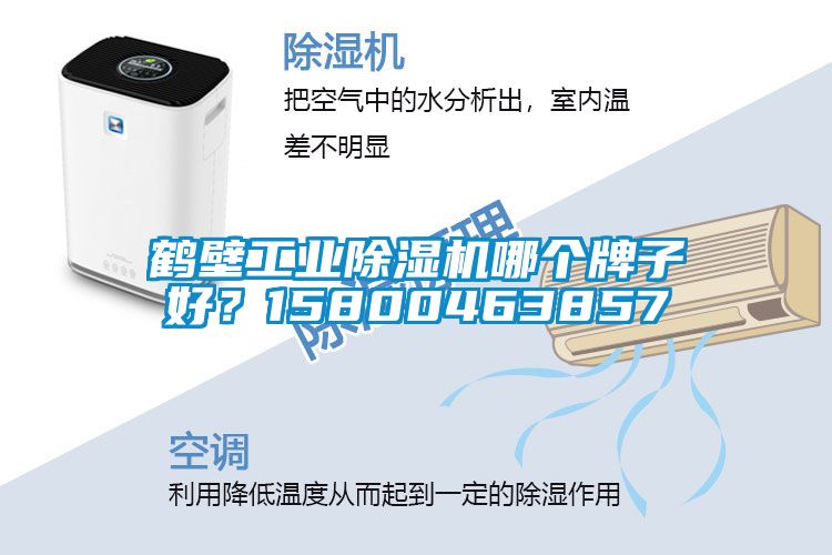 鶴壁工業(yè)除濕機(jī)哪個(gè)牌子好？15800463857
