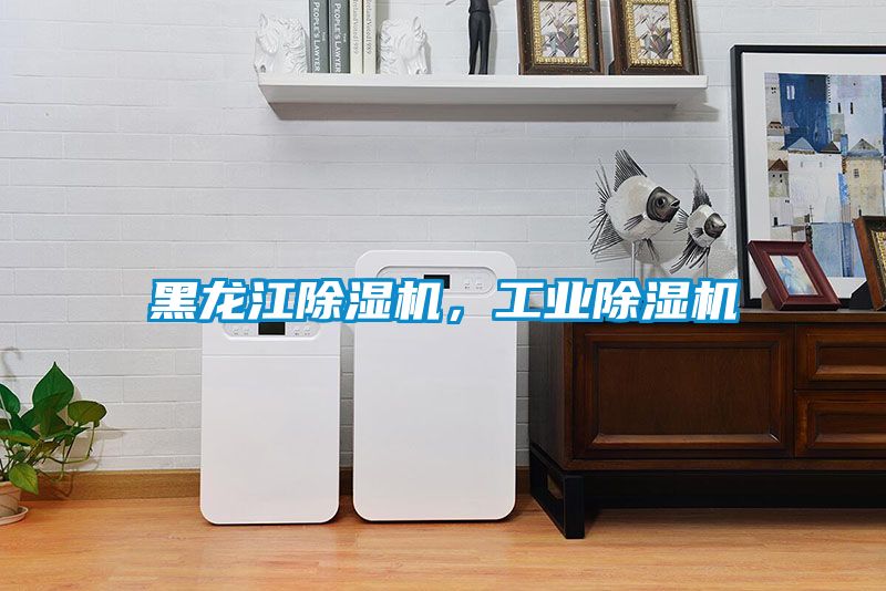 黑龍江除濕機(jī)，工業(yè)除濕機(jī)