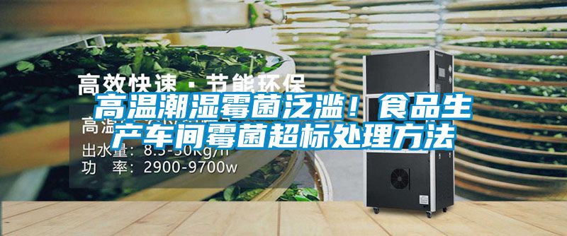 高溫潮濕霉菌泛濫！食品生產(chǎn)車間霉菌超標(biāo)處理方法