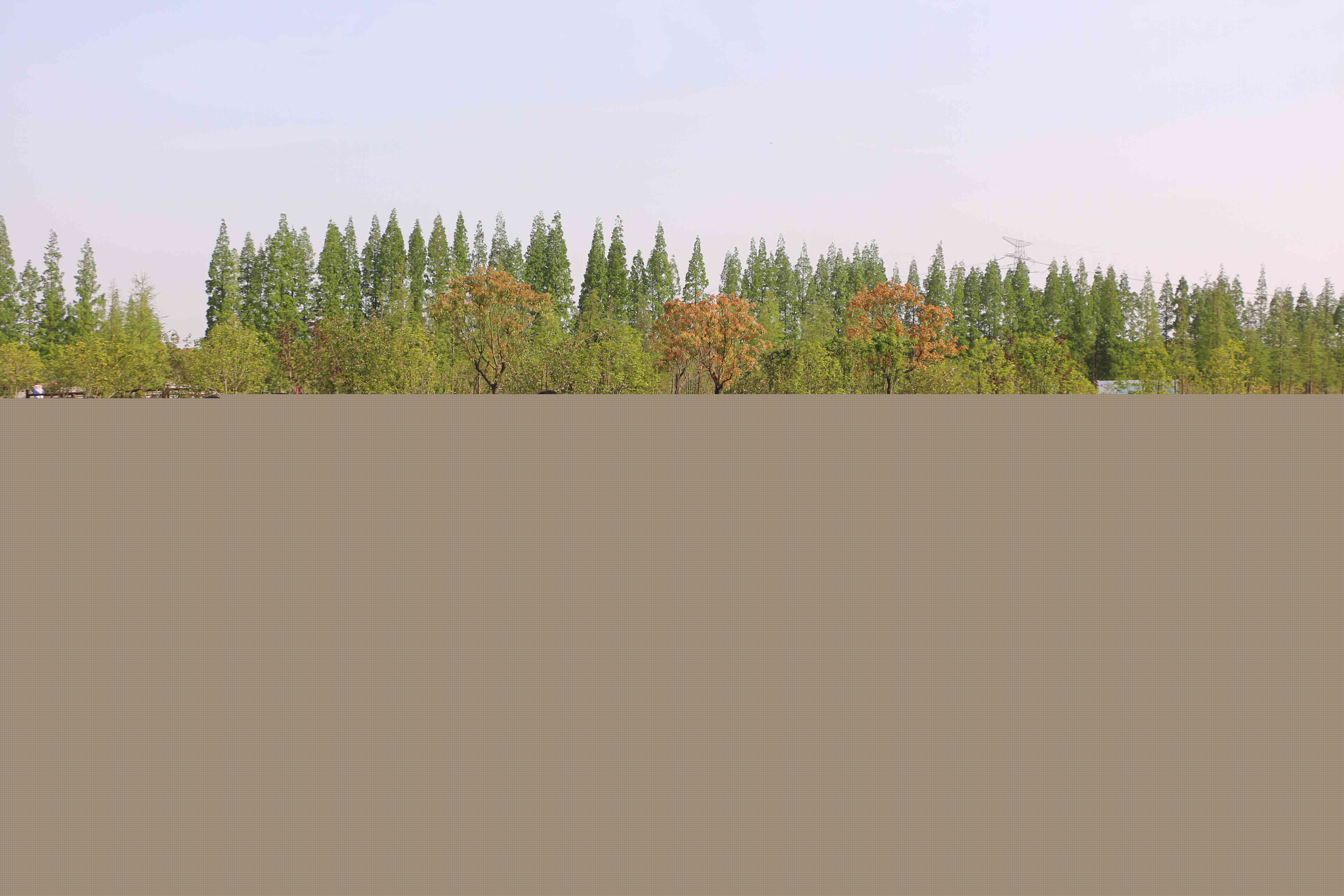 蔣巷一日拓展訓(xùn)練(圖382)